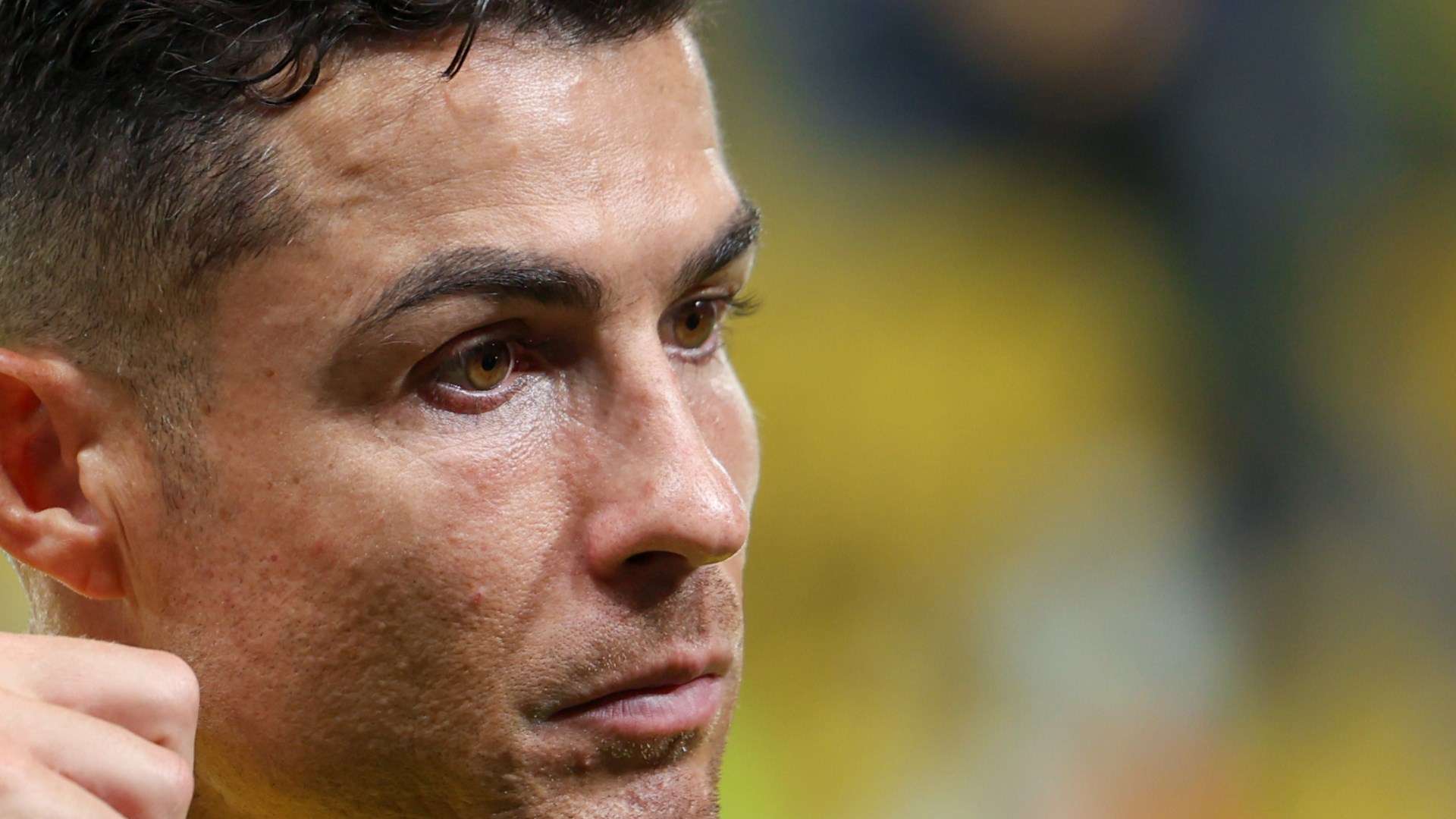 与津门虎一 与津门虎一