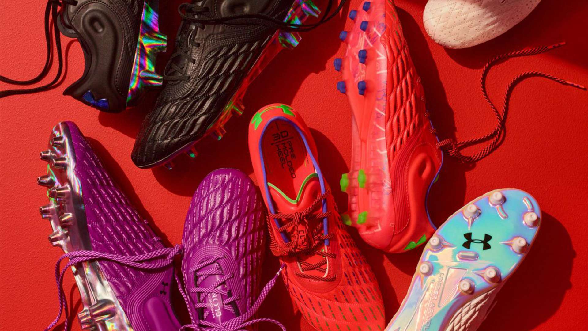 数明显增加 数明显增加